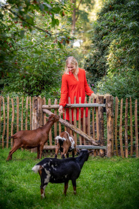 Kastanjepoort compleet B120 x H120 cm