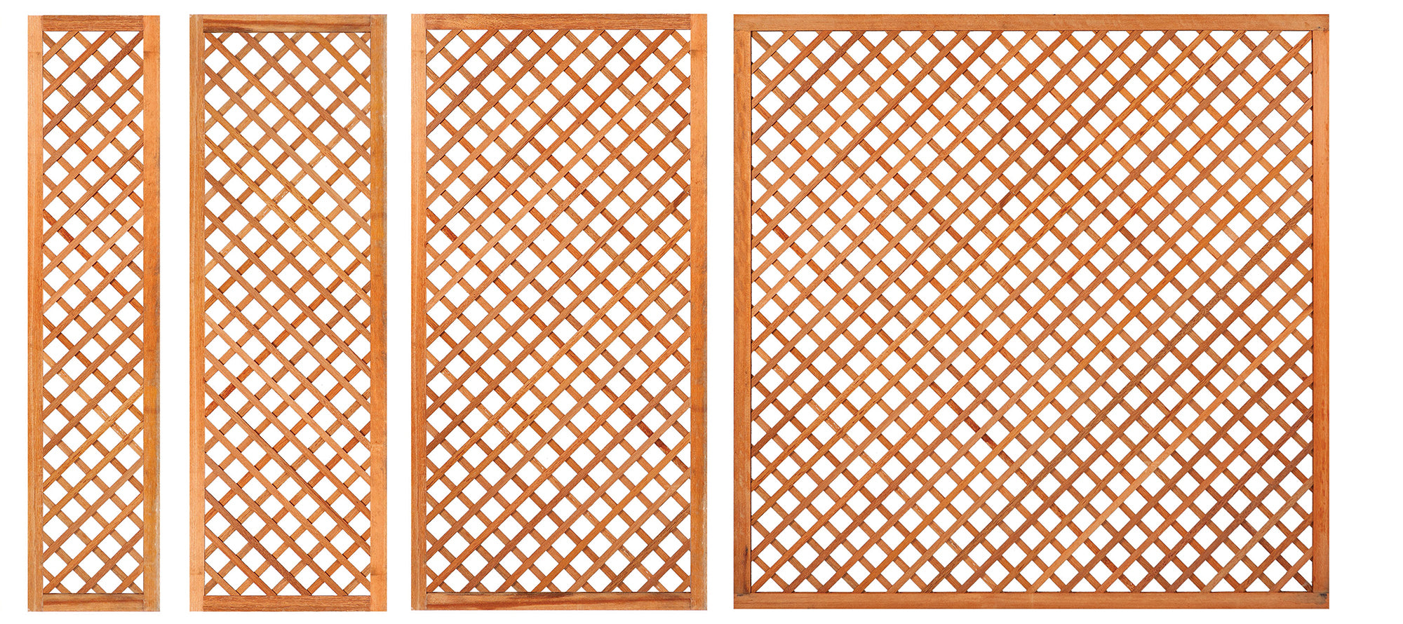 Trellis met lijst, diagonale lamellen hardhout kunstmatig gedroogd H180 x B60 cm