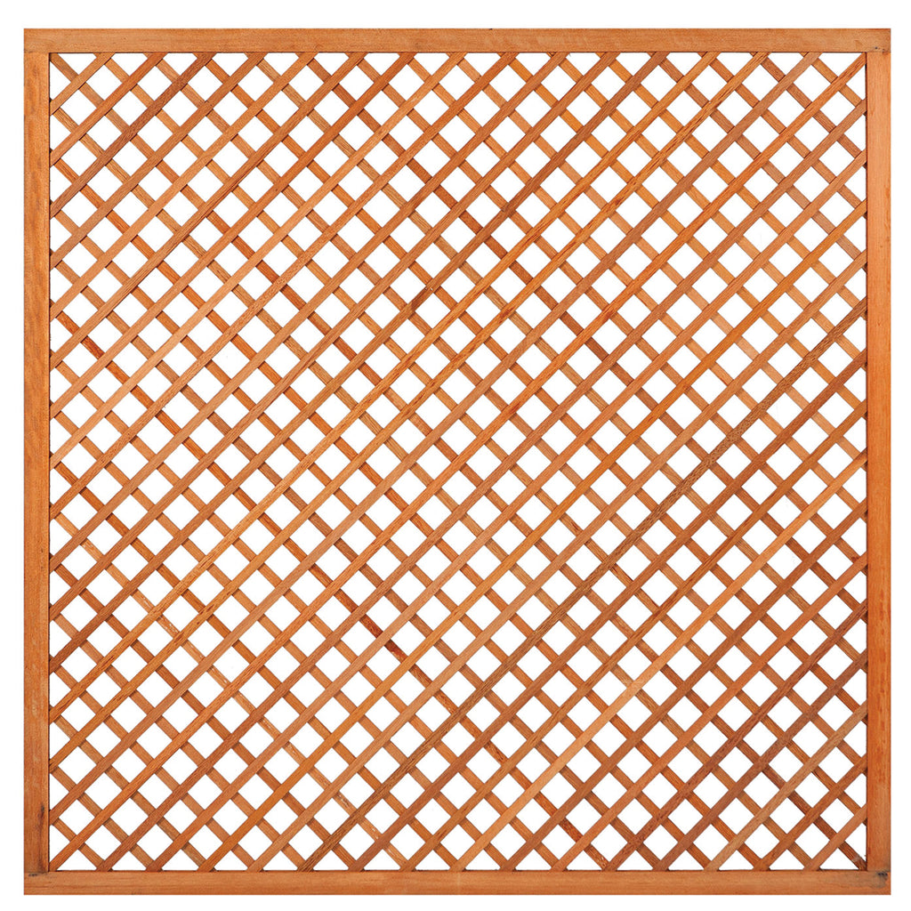 Trellis met lijst, diagonale lamellen hardhout kunstmatig gedroogd H180 x B180 cm