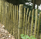 Kastanje pallisade Ø 7,0-9,0 x 250 cm, gepunt, geschild