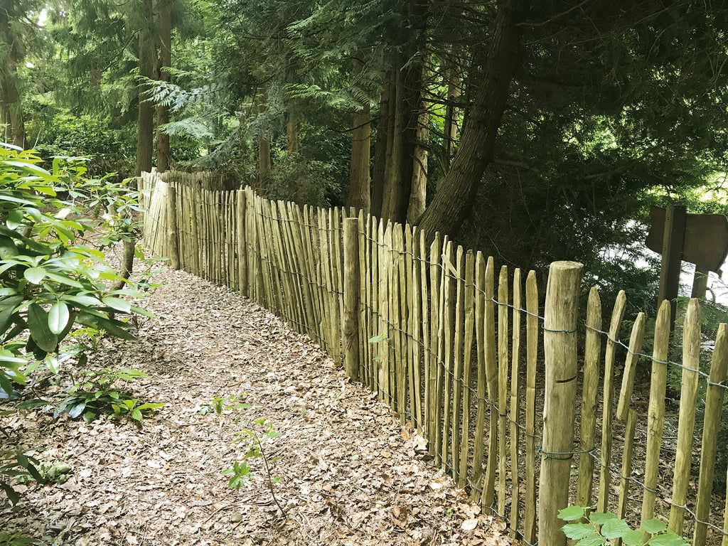 Kastanje pallisade Ø 10,0-12,0 x 300 cm, gepunt, geschild