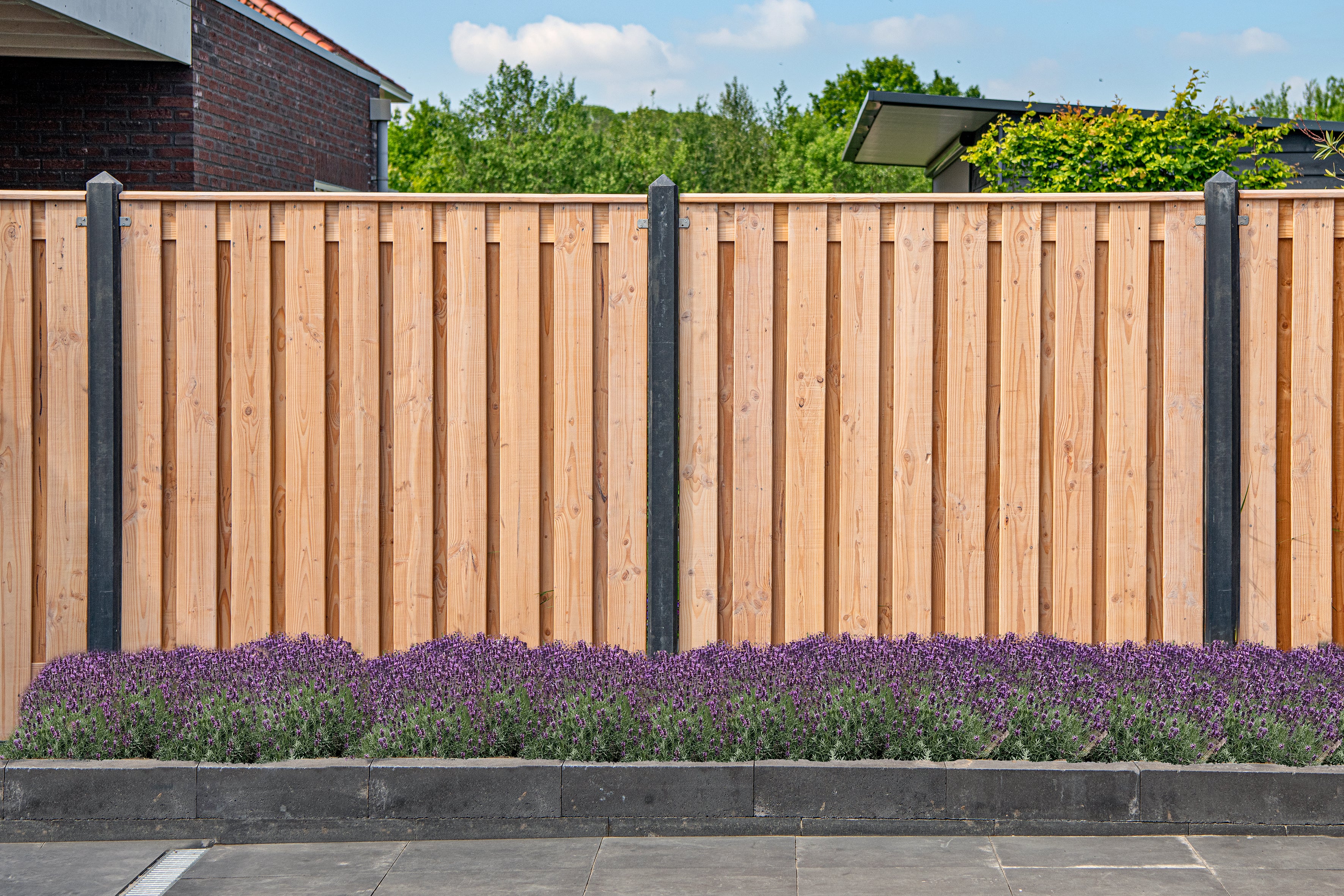 Tuinscherm Zwarte Woud, douglas, RVS-geschroefd, 21-planks (19+2) 180 x 180 cm