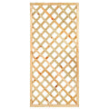 Trellis met lijst, diagonale lamellen grenen groen geïmpregneerd H180 x B90 cm