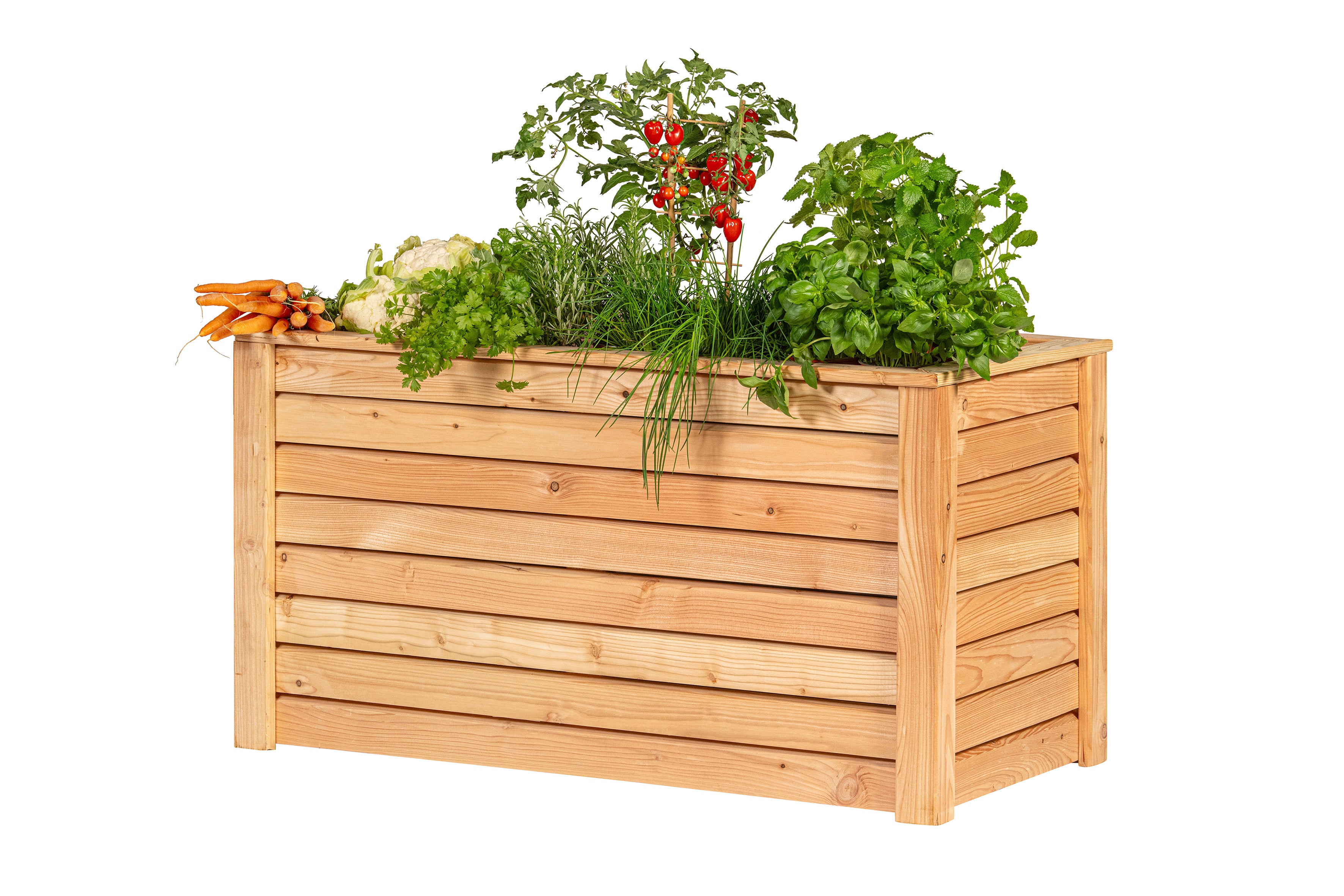 Verhoogde plantenbak Donau, lariks B120xD60xH65 cm