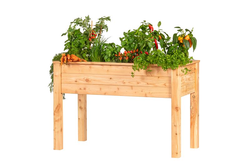 Verhoogde moestuinbak, lariks B120 x D60 x H80 cm