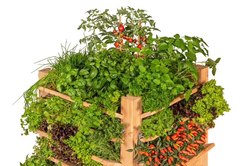 Multi plantenbak/kruidenbak, lariks B60xD60xH80 cm