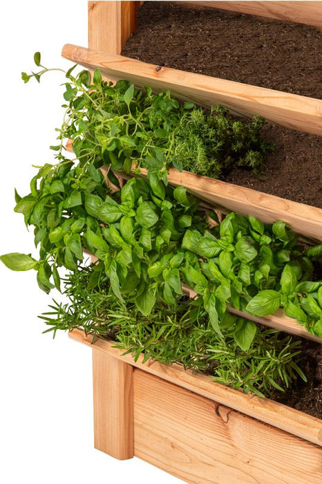 Multi plantenbak/kruidenbak, lariks B60xD60xH80 cm