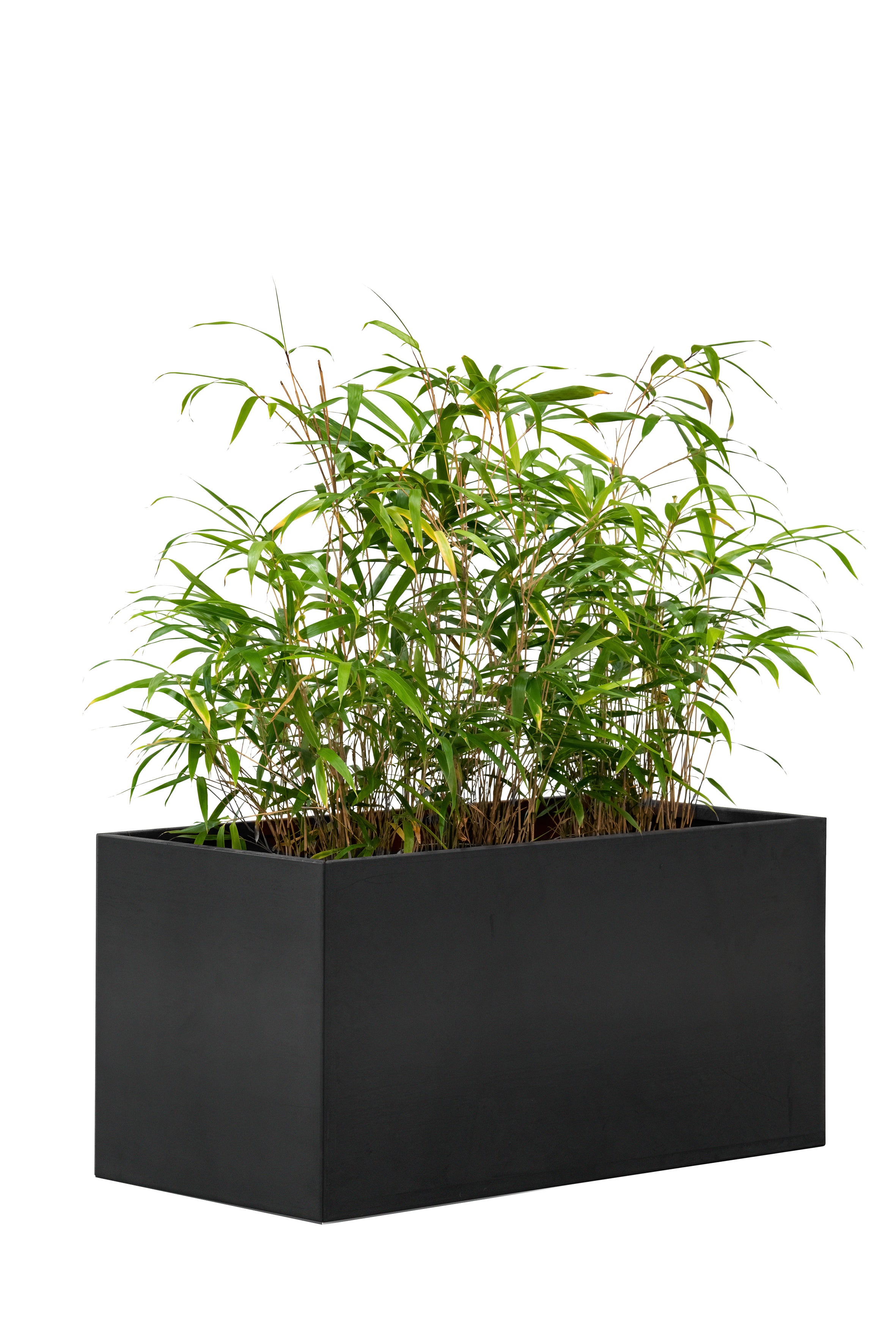 Bloembak Mohawk, zwart gepoedercoat staal 60 x 120 x 60 cm
