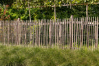 Kastanje pallisade Ø 14,0-16,0 x 300 cm, gepunt, geschild